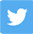 twitter-icon