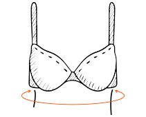 md-bra-2